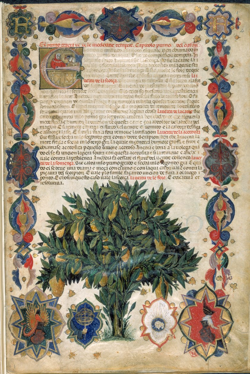 Strona tekstowa z ozdobnymi ramkami, ilustracja z 