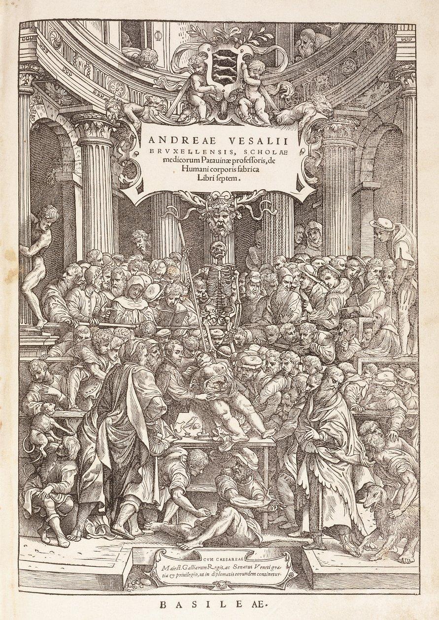 Autor przeprowadzający sekcję anatomiczną w Teatrze Chirurgicznym, 1543 autorstwa Italian School