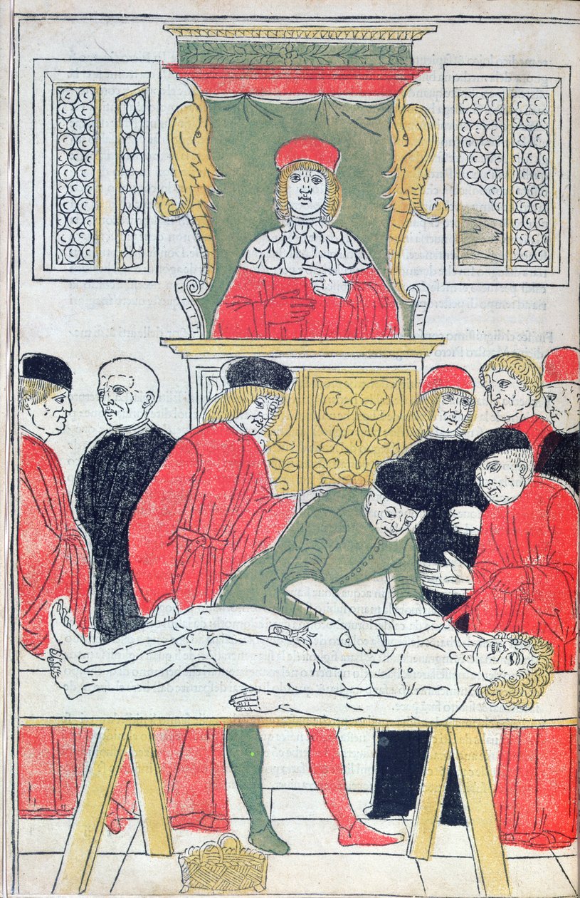 Rozcięcie, ilustracja z „Fasciculus Medicinae” Johannesa de Ketham (zm. 1490) 1493 (drzewryt) autorstwa Italian School