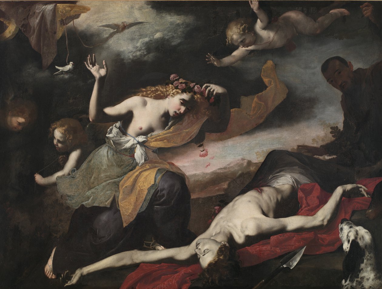 Wenus odkrywa martwego Adonisa, ok. 1650 r autorstwa Italian School