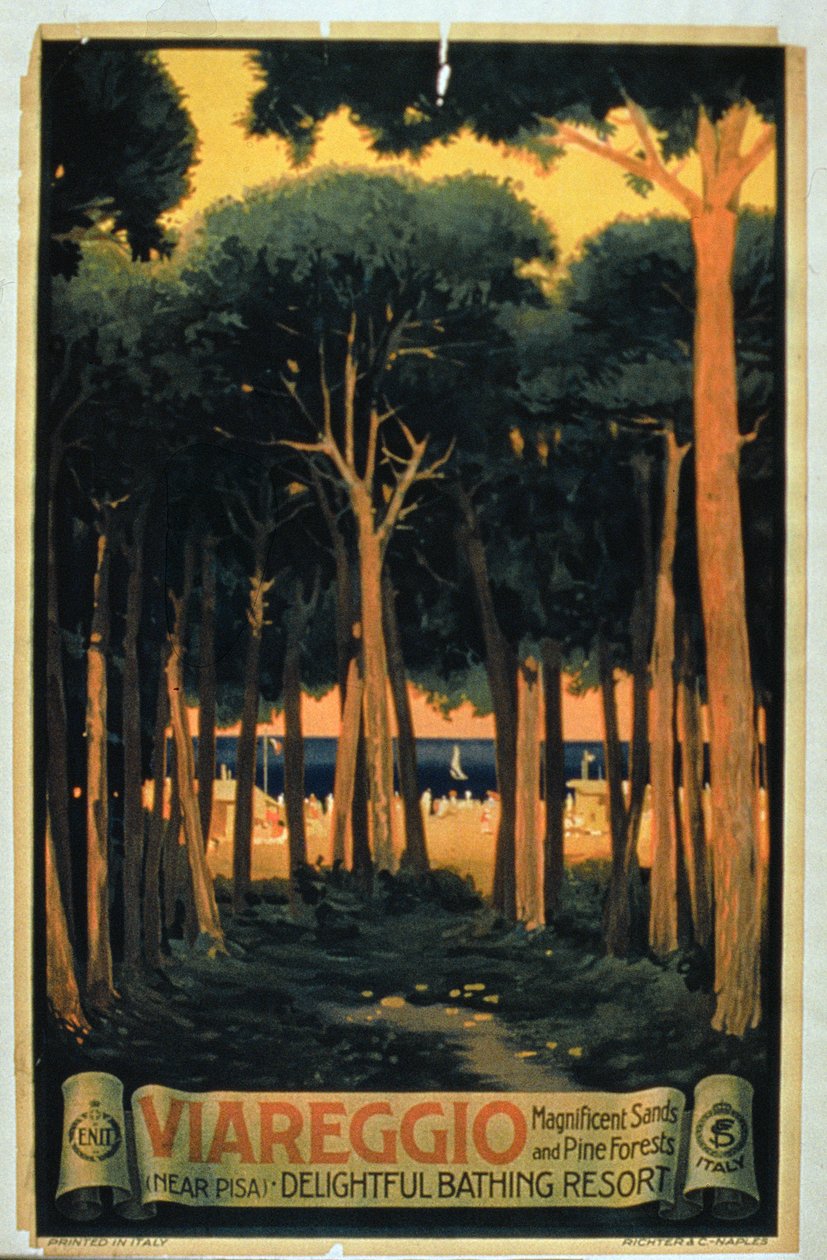 "Viareggio", opublikowane przez Richter and Co., Piza, Włochy (kolorowa litografia) autorstwa Italian School
