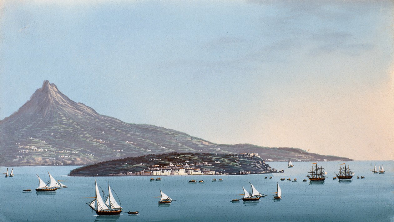 Widok na Neapol (gwasz) autorstwa Italian School