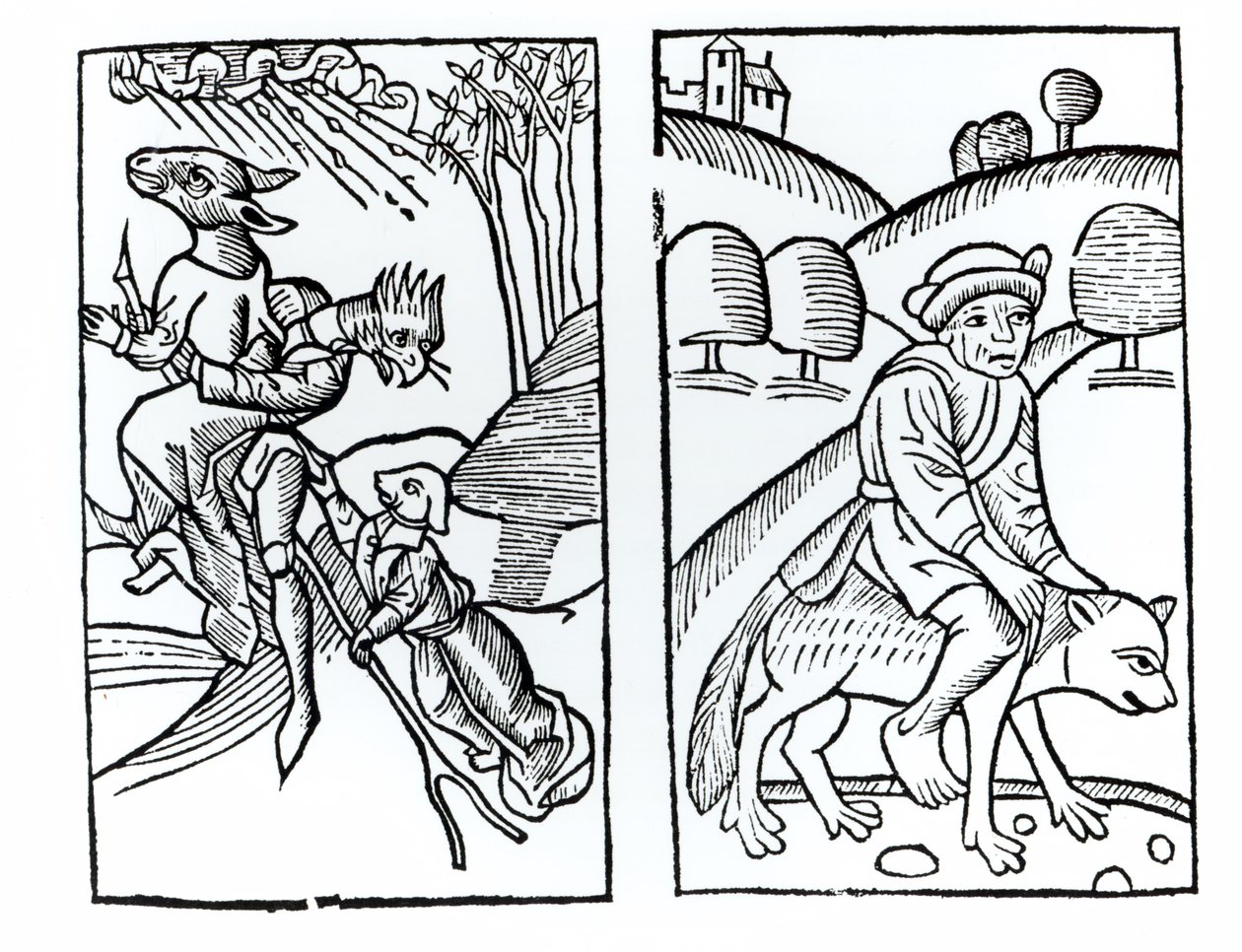Czarownice przebrane za zwierzęta na miotle (po lewej) i wiedźma na wilku (po prawej), kopie ilustracji z Compendium Maleficarum autorstwa ks. M. Guaccius, Mediolan 1608, wykorzystanych w Historii magii autorstwa Italian School