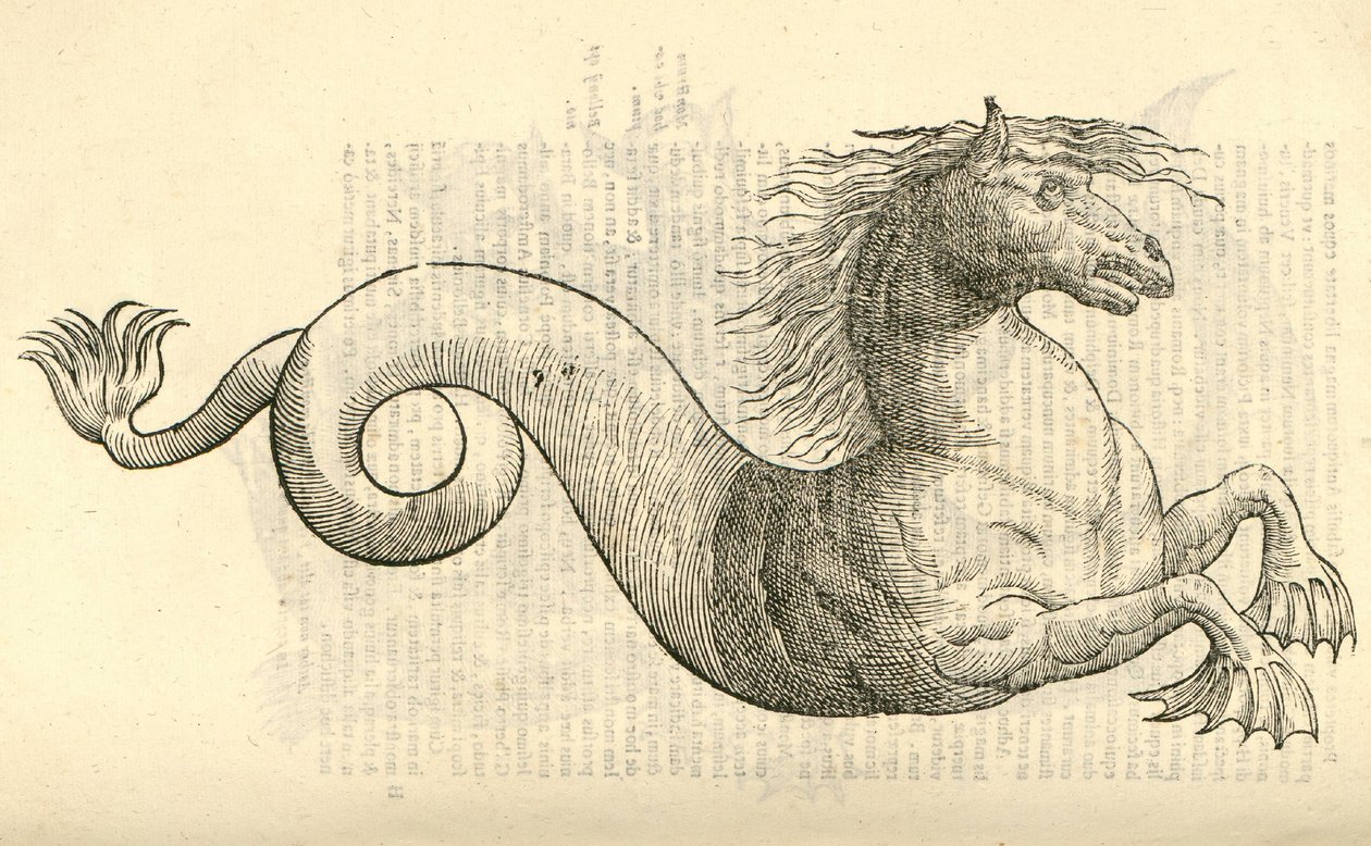 ilustracja Equus marinus monstrosus z Aldrovandis Historia potworów, 1642 autorstwa Italian School