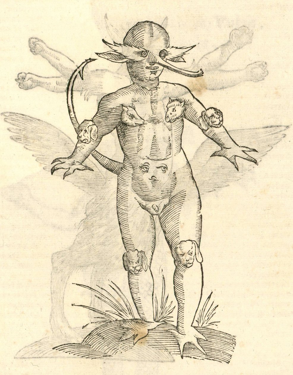 ilustracja przedstawiająca głowy zwierząt dziecka z „Historii potworów Aldrovandisa”, 1642 r. autorstwa Italian School