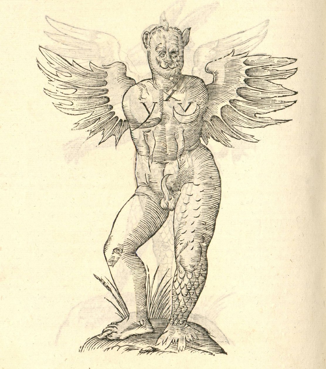 ilustracja przedstawiająca skrzydlatego potwora z „Historii potworów Aldrovandisa”, 1642 r. autorstwa Italian School