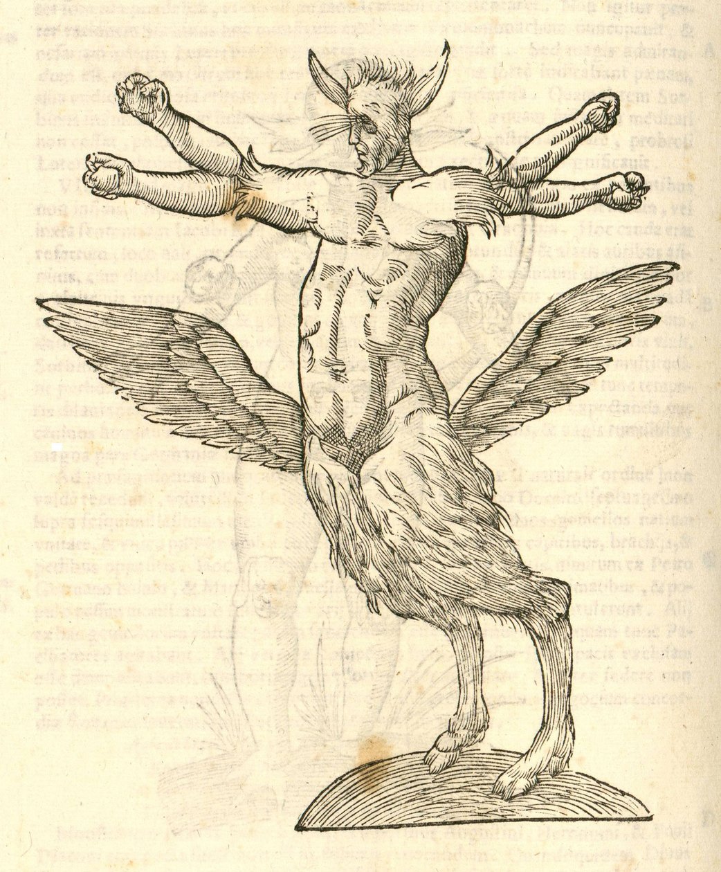 ilustracja potwora z Aldrovandis Historia potworów, 1642 autorstwa Italian School