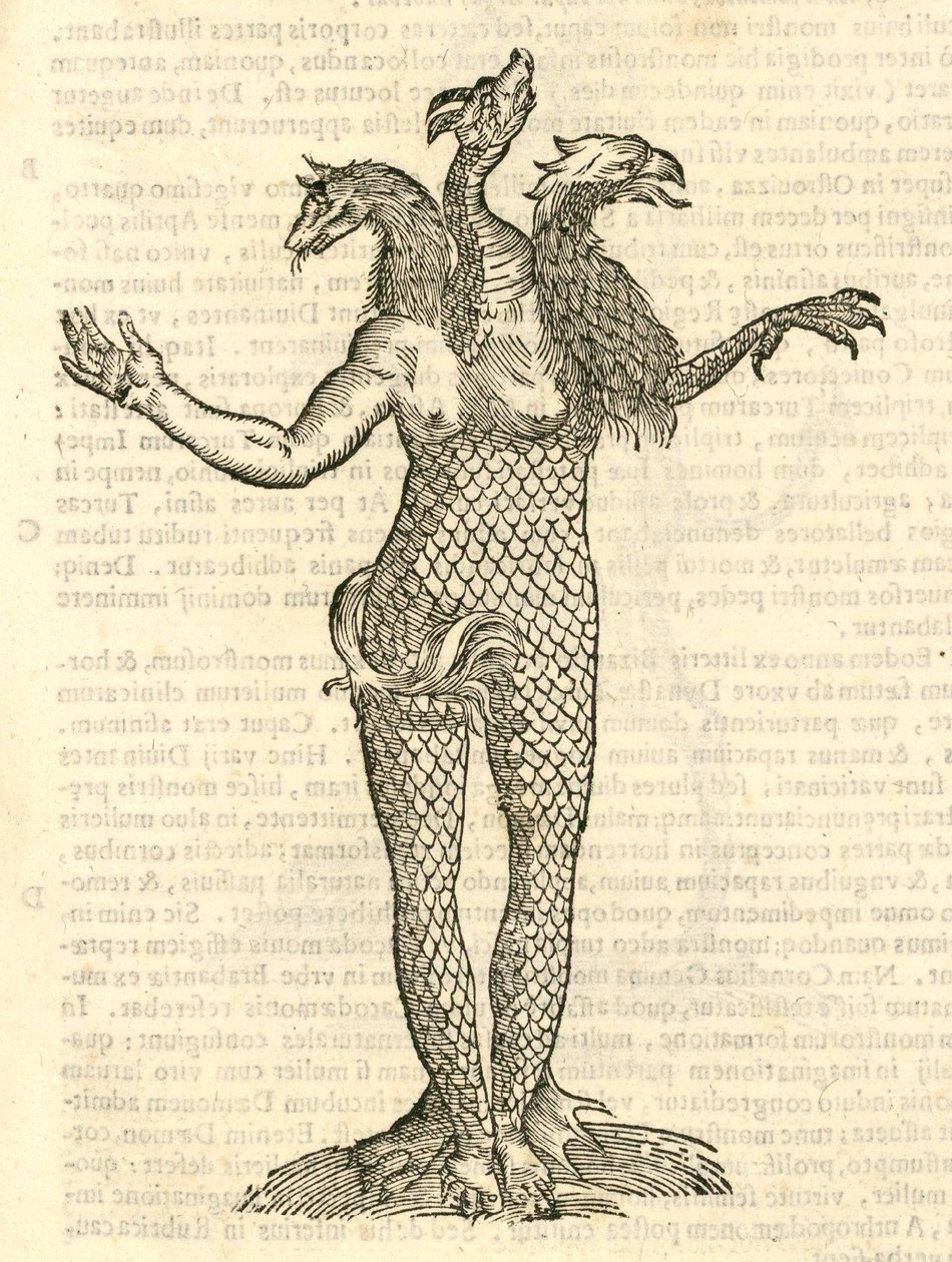 ilustracja przedstawiająca trójgłowego potwora z głową lisa, smoka i orła z Aldrovandis History of Monsters, 1642 autorstwa Italian School
