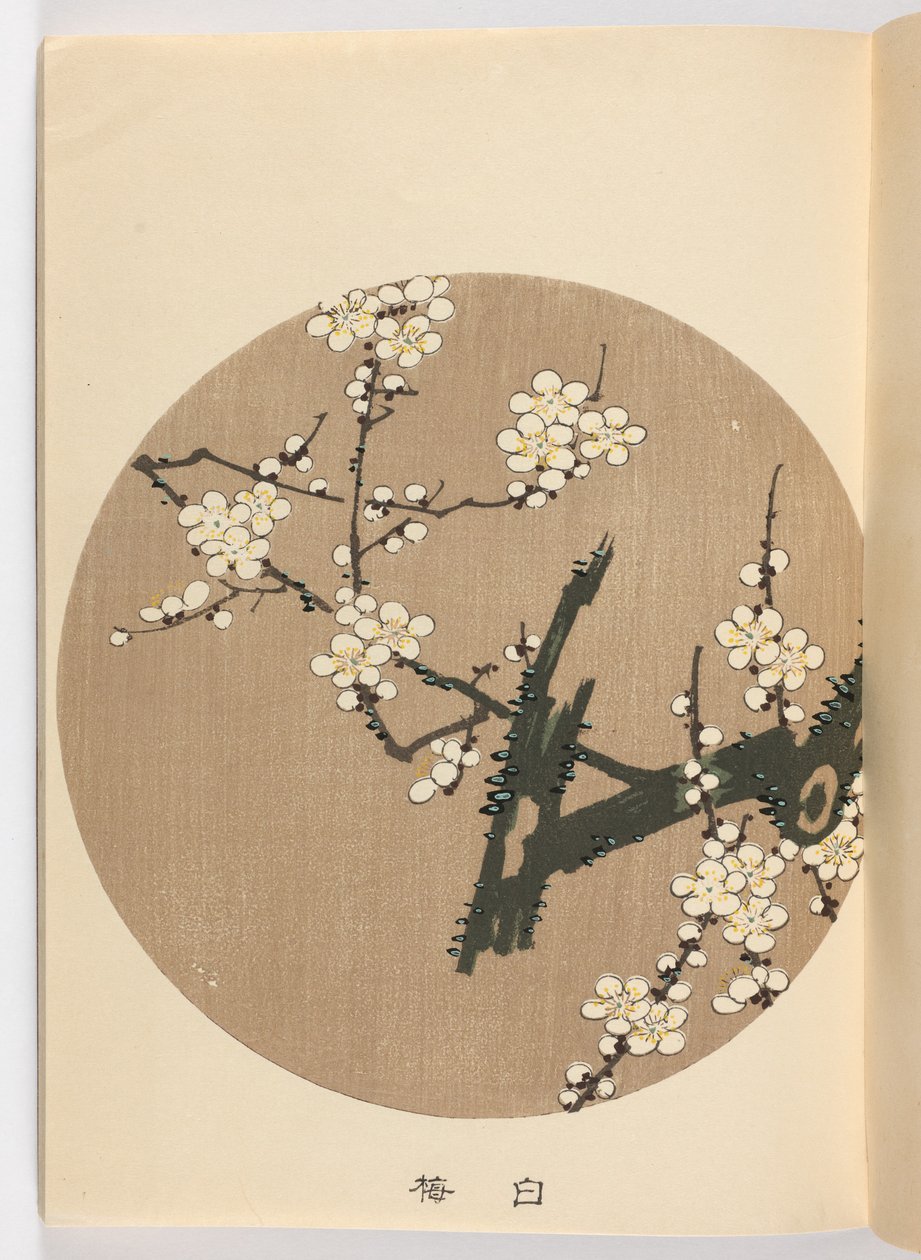 Słaby ch? Jest negatywna, Meiji Ella, 1908 (DBock p Hayashi t) autorstwa Ito Jakuchu