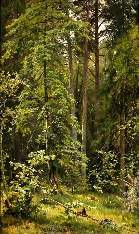Las. autorstwa Ivan Ivanovich Shishkin