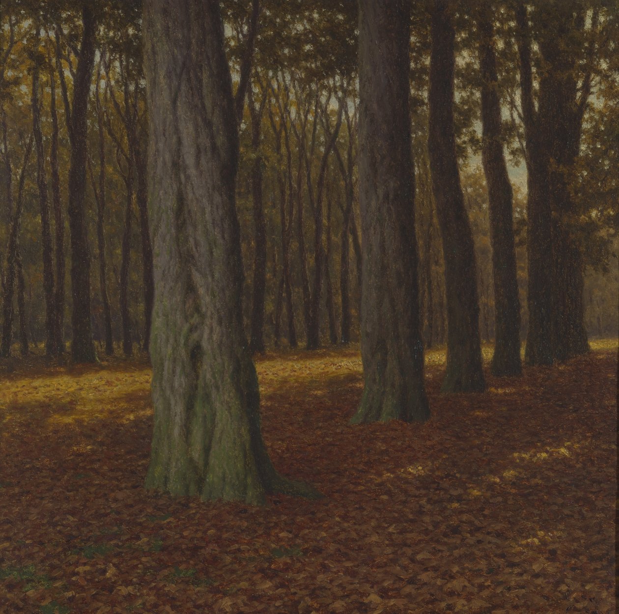 Pejzaż leśny (olej na płótnie) autorstwa Ivan Fedorovich Choultse