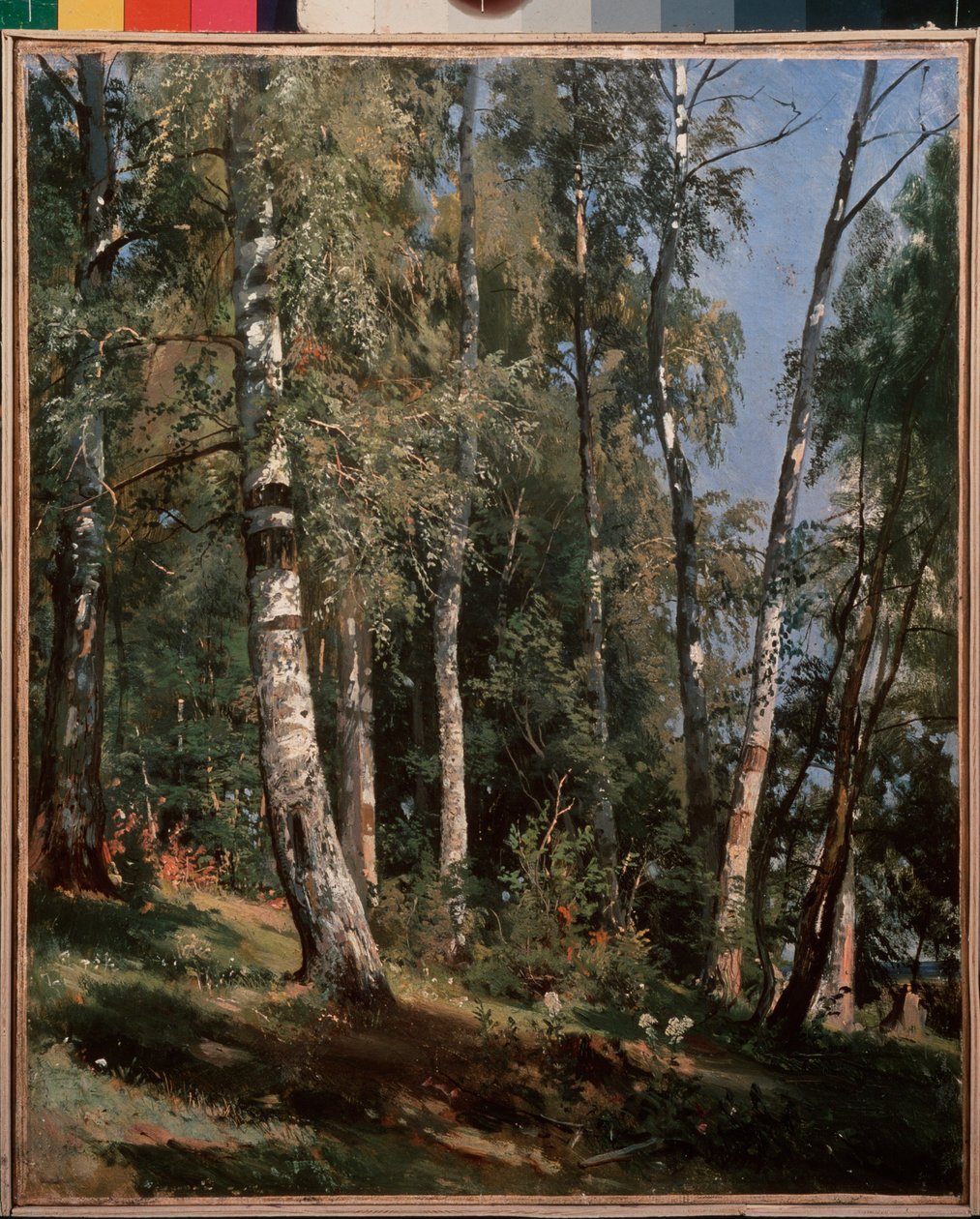 Brzozowy gaj (brzozowy gaj) - Obraz Iwana Iwanowicza Szyszkina (Sziszkina) (1832-1898), olej na płótnie autorstwa Ivan Ivanovich Shishkin