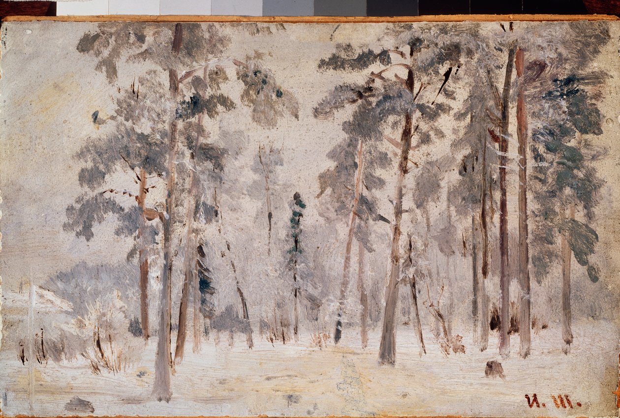 Frost (Szron) - Obraz Iwana Iwanowicza Szyszkina (Sziszkina) (1832-1898), olej na płótnie, ok. 1890 - Sztuka rosyjska, krajobraz XIX wieku - Państwowa Galeria Trietiakowska, Moskwa autorstwa Ivan Ivanovich Shishkin