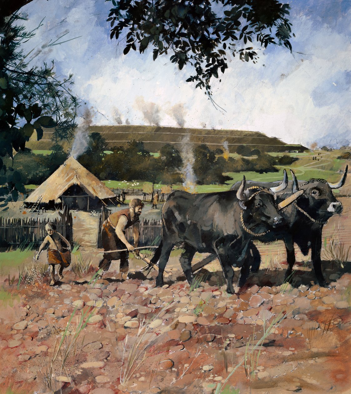 Uprawy z epoki żelaza, Fort Old Oswestry Hill, Shropshire, ok. 1990-2010. autorstwa Ivan Lapper