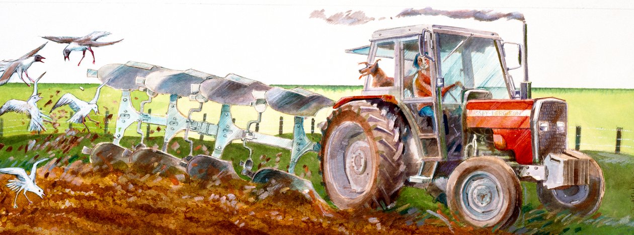 Orka, c2010 autorstwa Ivan Lapper