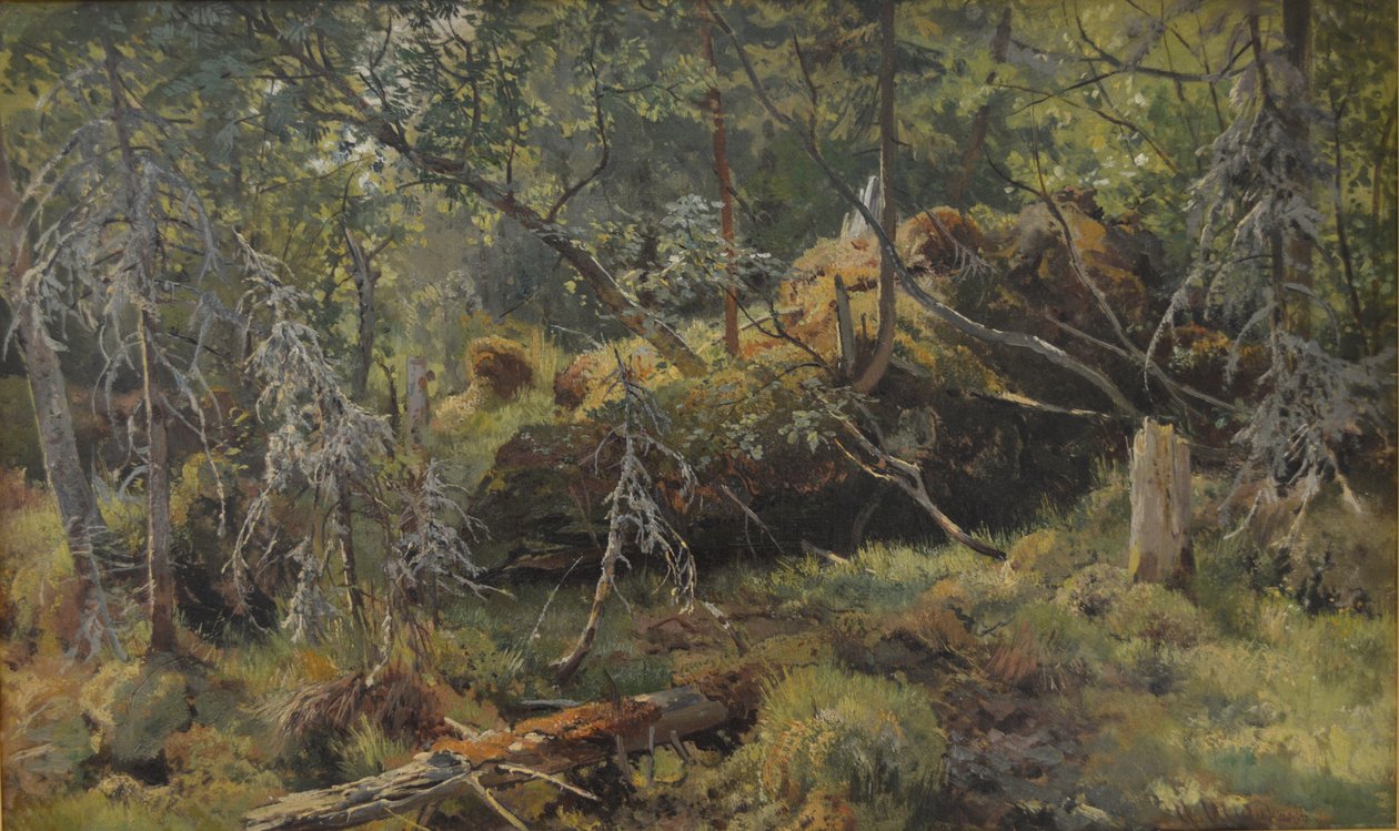 Gałęzie. A Study autorstwa Ivan Ivanovich Shishkin