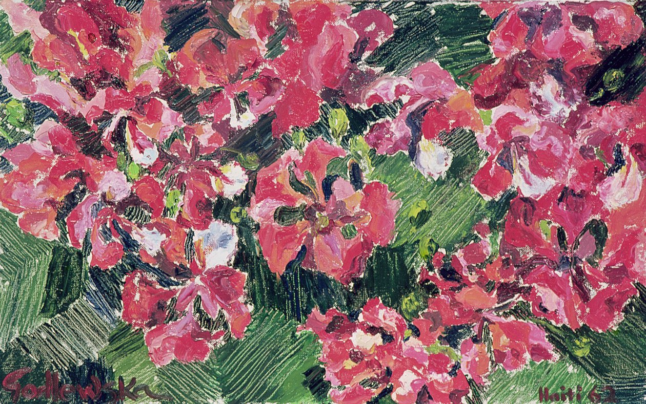 Rododendron, 1962 autorstwa Izabella Godlewska de Aranda