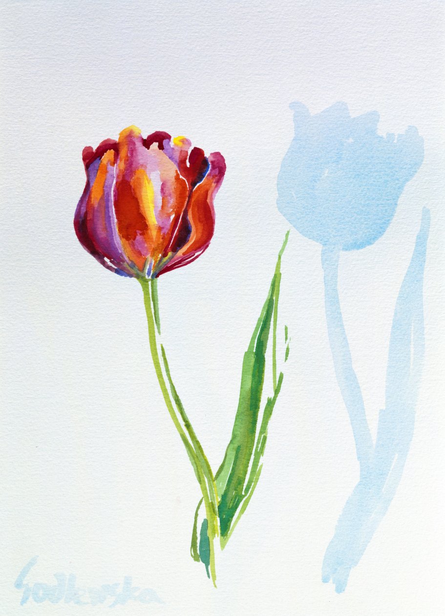 Tulip, 1998 (wc na papierze) (patrz także 124446 i 124447) autorstwa Izabella Godlewska de Aranda