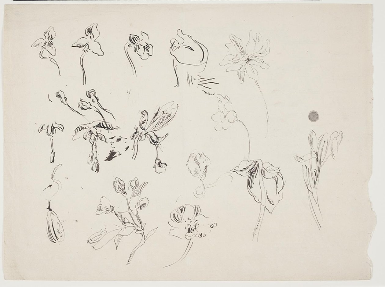 Blomsterskitser   1267039   pl       polish Successfully Translated  Original: Wanaus, Tuscarora Indian Translat: Wanaus, Tuscarora Indian 1225056 pl polish Successfully Translated Original: Autumn Hilltop, New England Translat: Autumn Hilltop, New England autorstwa J.A. Jerichau