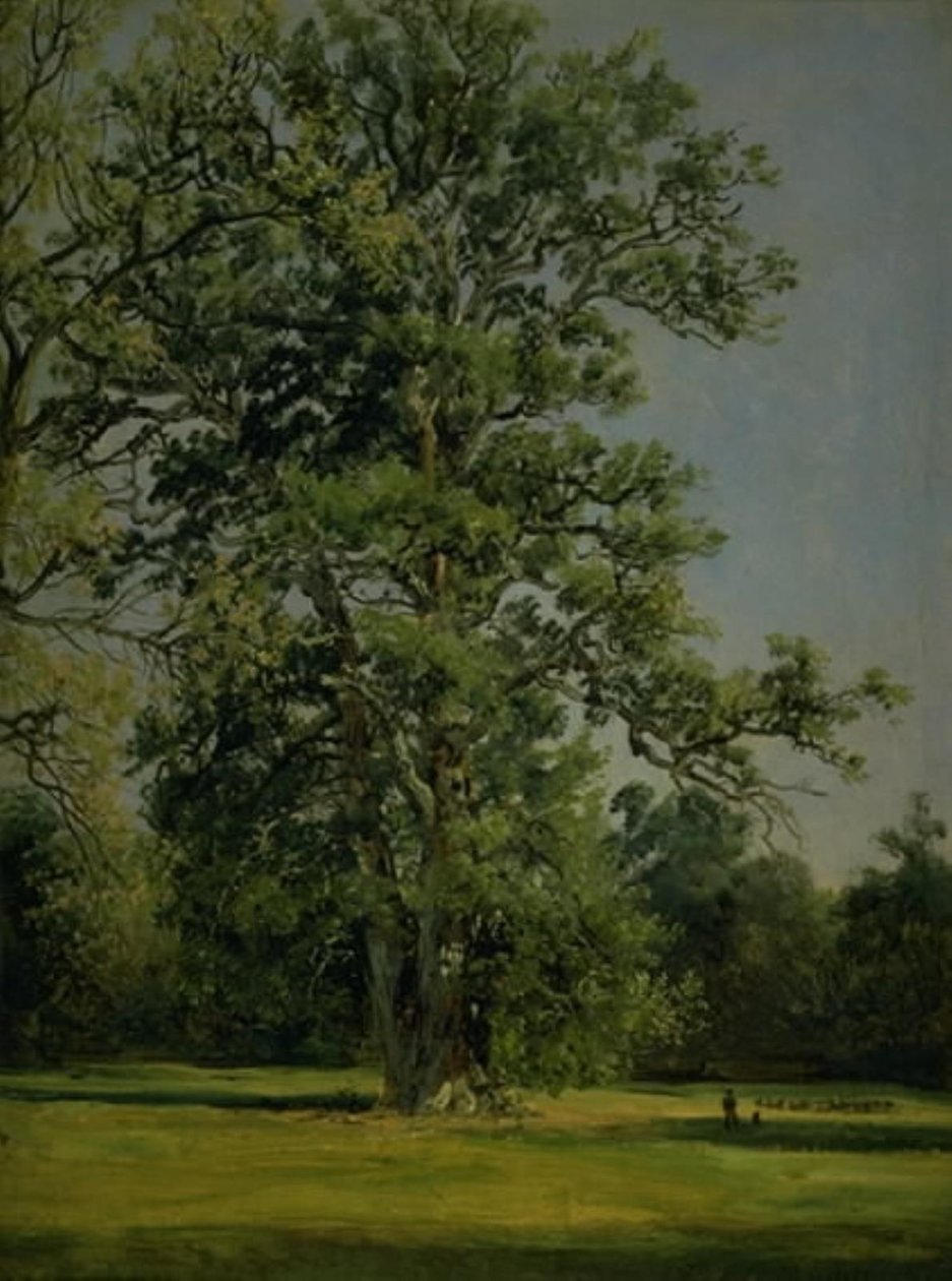 Dąb. Widok na ogród w Wörlitz koło Dessau autorstwa Johan Christian Dahl