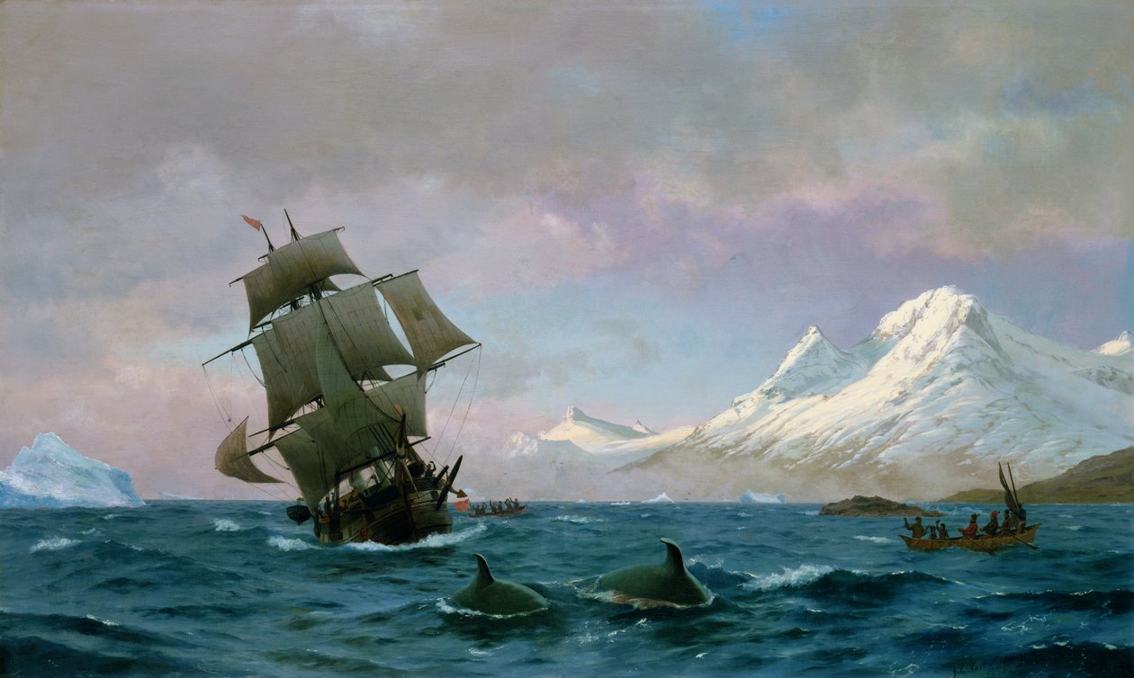 Łowienie wielorybów, 1875 autorstwa J.E. Carl Rasmussen