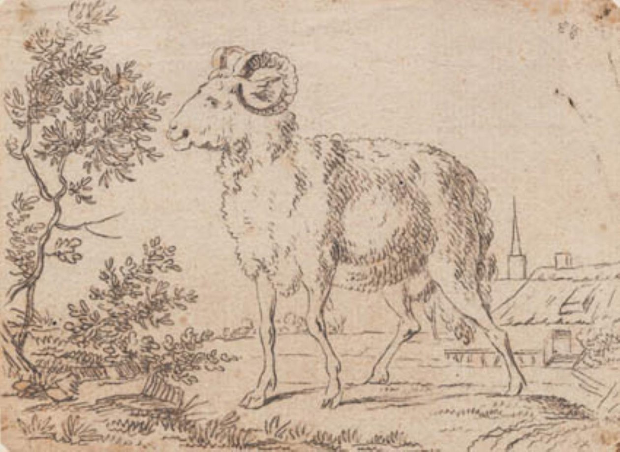 baran autorstwa J.F. Clemens