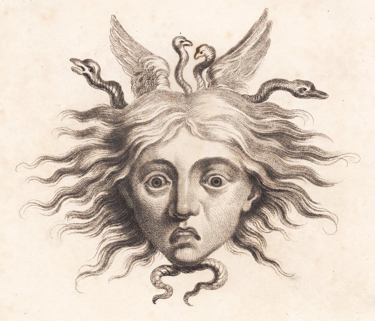 Medusahoved autorstwa J.F. Clemens