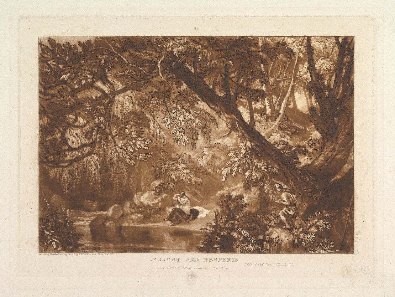 Aesacus i Hesperia, Wideo Metamorfozy Owidiusza, Księga XI Liber Studiorum, cz. X..., 1 stycznia 1819. autorstwa Joseph Mallord William Turner