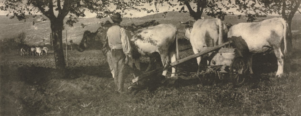 Praca kamery: zespół orki autorstwa J. Craig Annan
