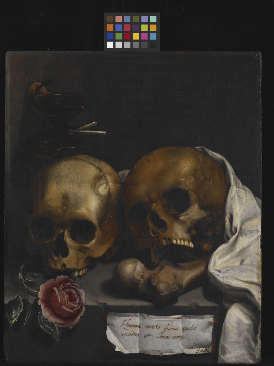 Martwa natura Vanitas autorstwa J Falk