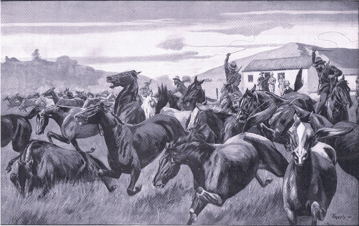 Burowie najeżdżający Remount Depot w Braamfontein, z książki After Pretoria: The Guerilla War wydanej przez Harmsworth Bros Limited, 1901 autorstwa J. H. Thornely