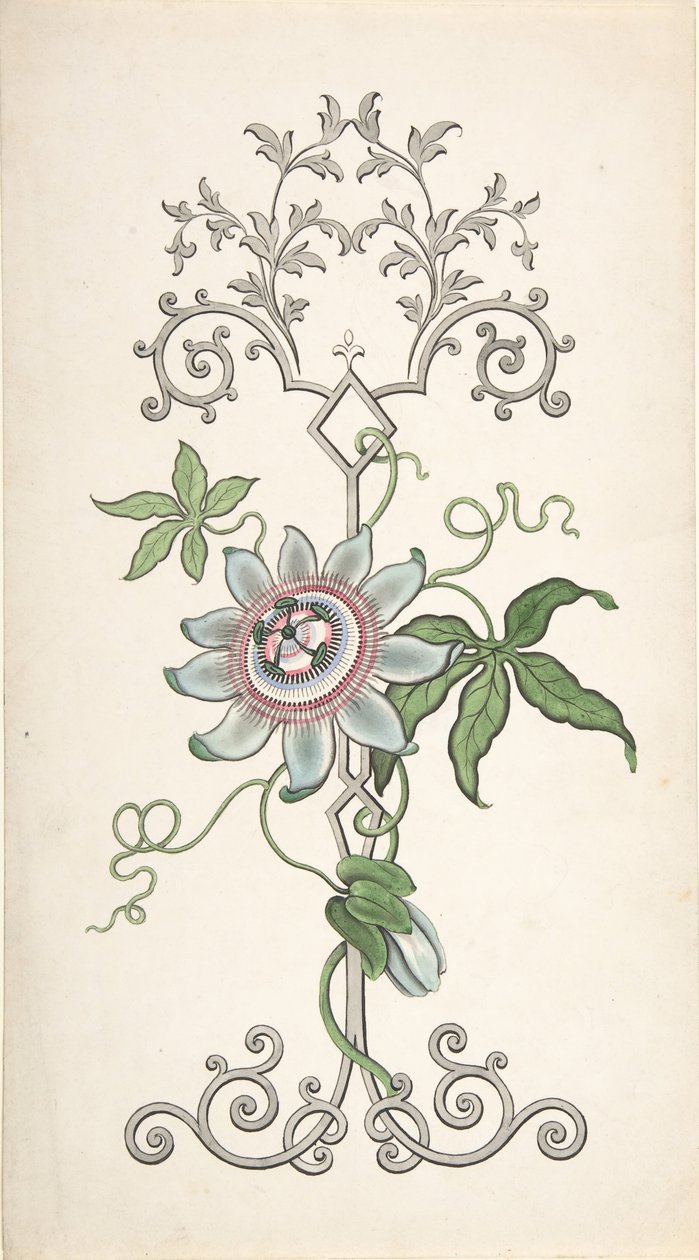 Projekt dekoracji paneli skupionych na kwiatach męczennicy, 1828-40. autorstwa J Hulme