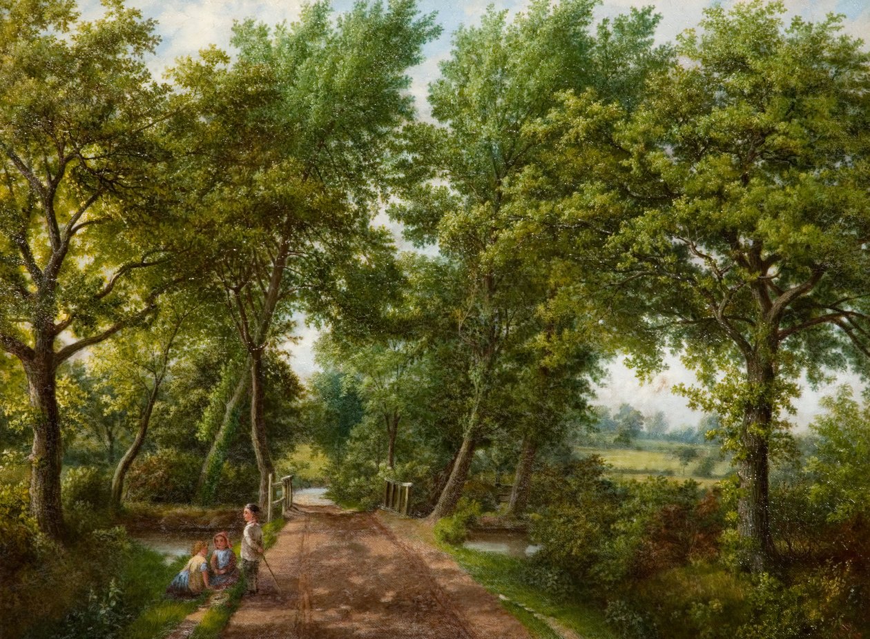 Hob Moor Road Ford, Birmingham, 1870. autorstwa J. Jolly