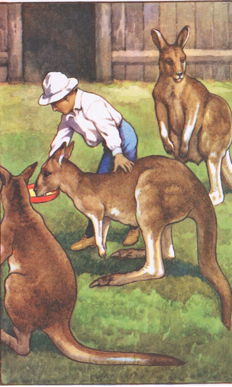 Australijski chłopiec, ze szkolnych plakatów MacMillan, ok. 1950-60 (kolor lito) autorstwa J. Macfarlane