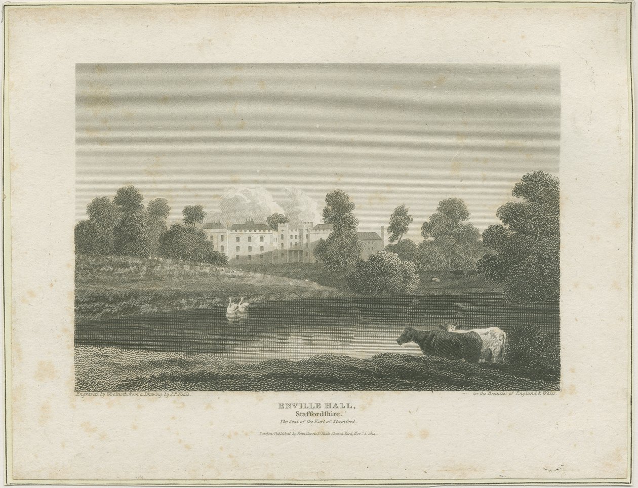 Enville Hall: grawerowanie, bd [ok. 1814] (druk) autorstwa John Preston Neale