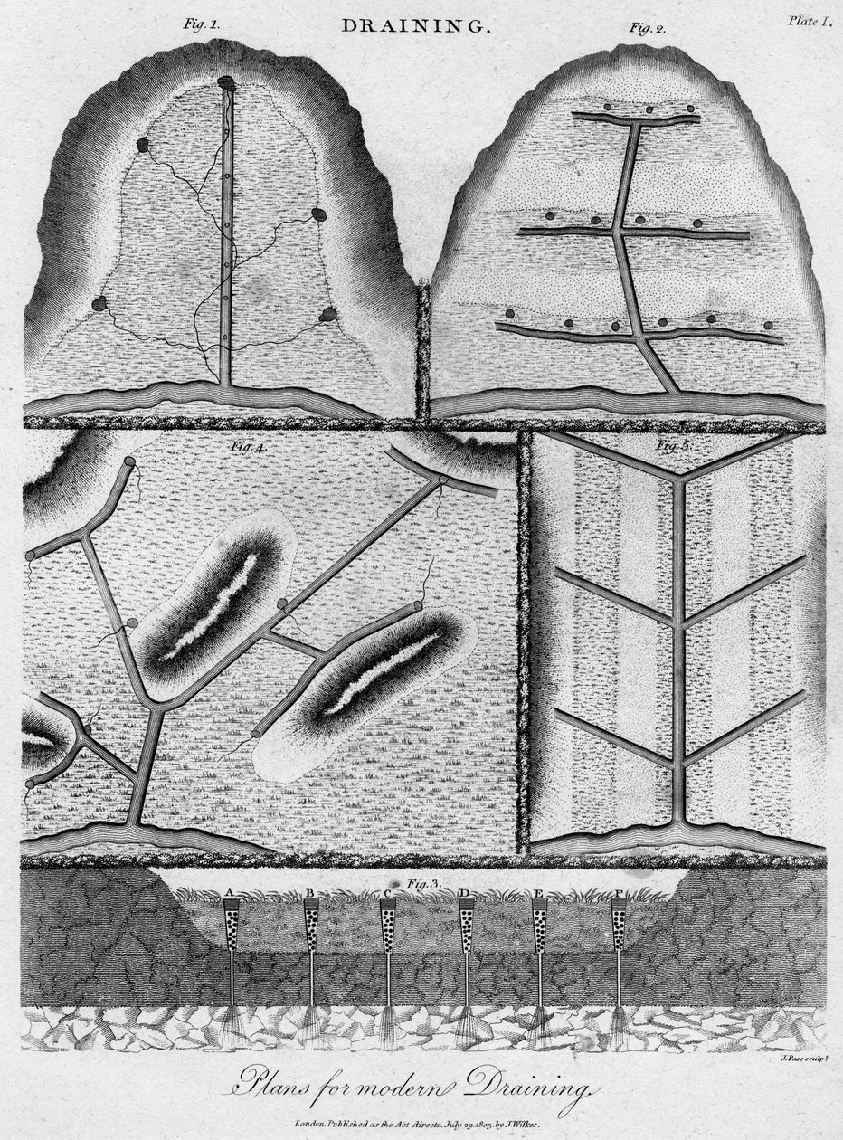 Plany odwadniające, 1803 r. autorstwa J. Pass