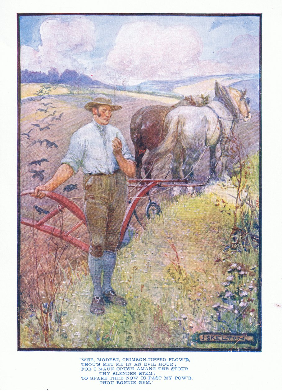 Mały, skromny, szkarłatny kwiat, z publikacji literatury angielskiej autorstwa TC & EC Jack, ok.1920 autorstwa J. R. Skelton