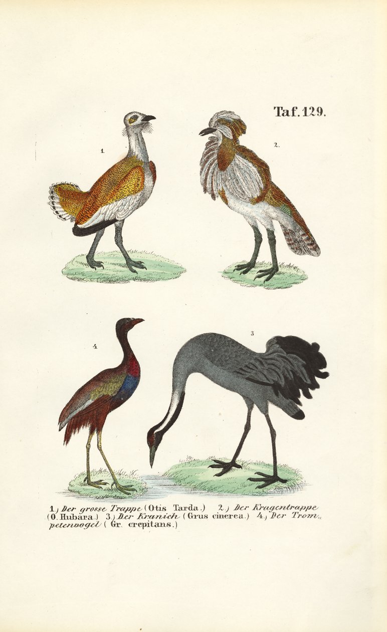  autorstwa J. W. Tenhaeff