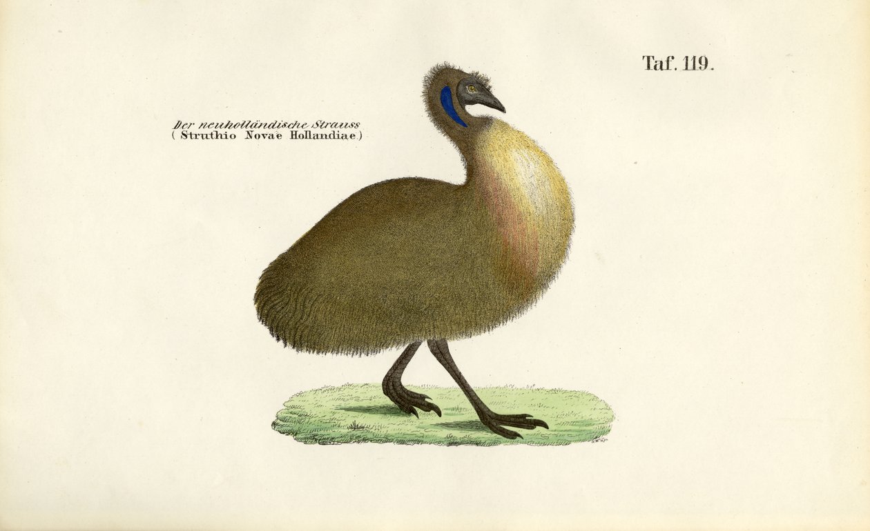  autorstwa J. W. Tenhaeff