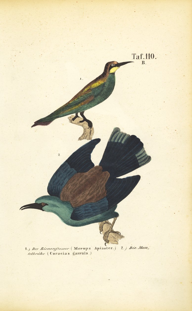  autorstwa J. W. Tenhaeff