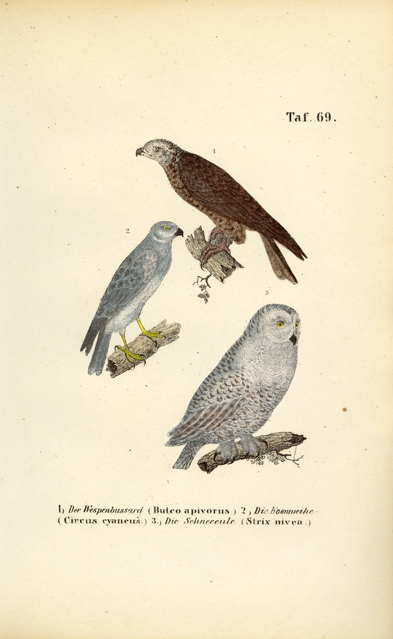  autorstwa J. W. Tenhaeff