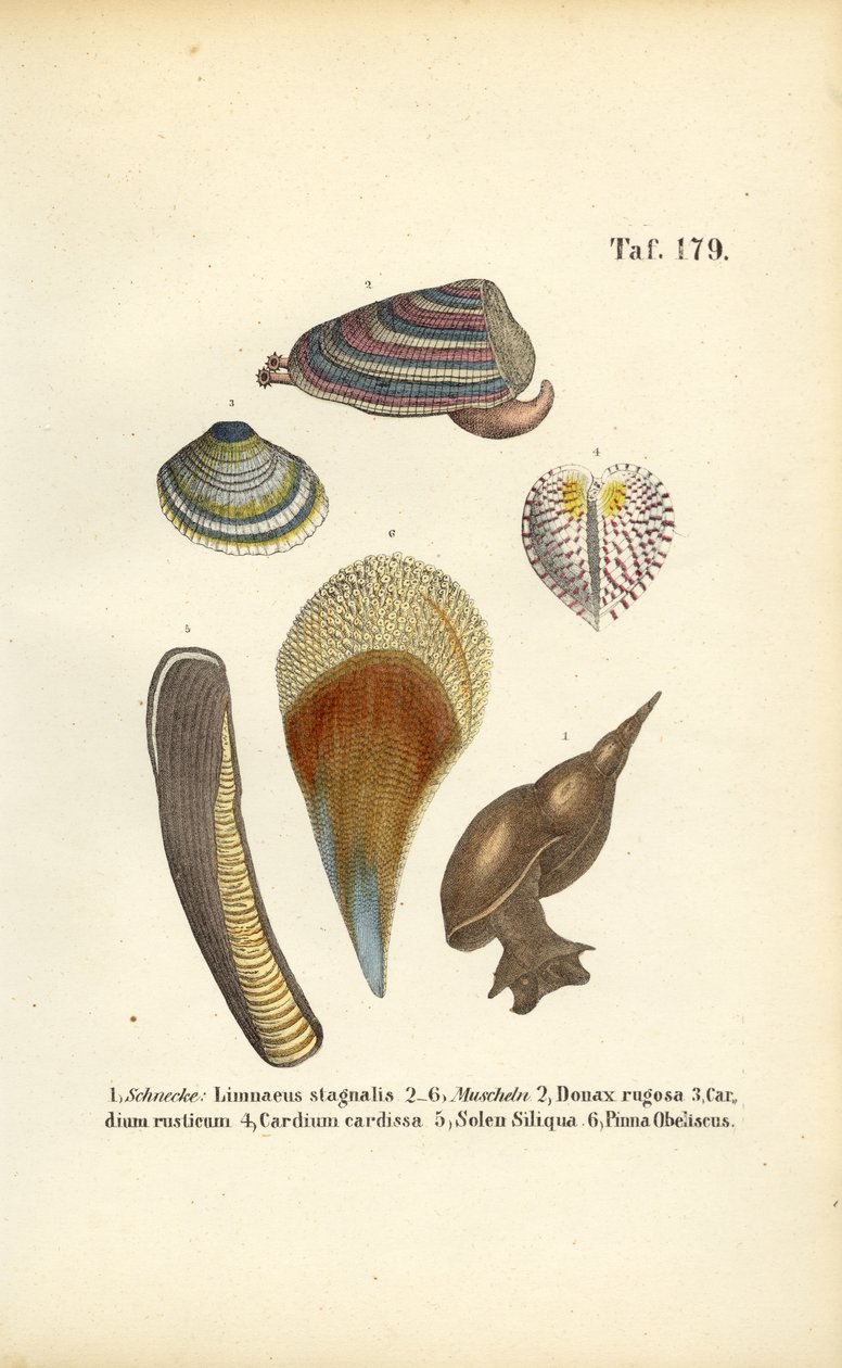  autorstwa J. W. Tenhaeff