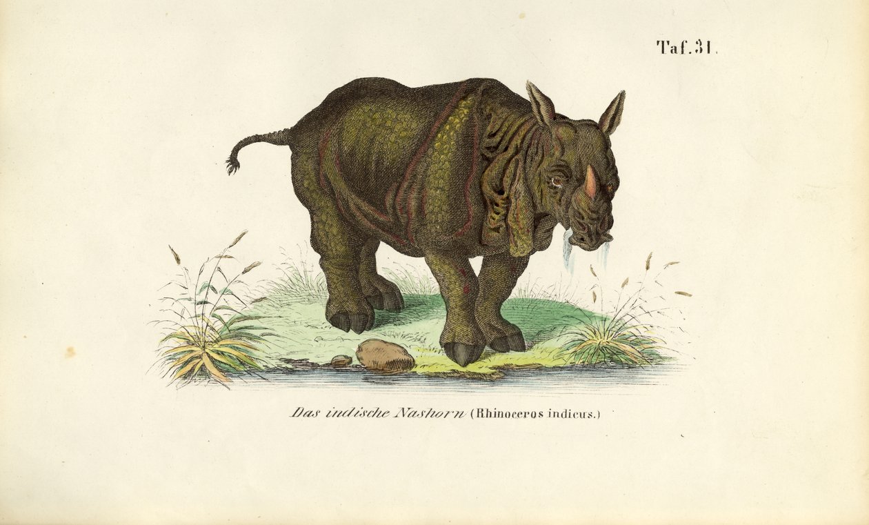  autorstwa J. W. Tenhaeff