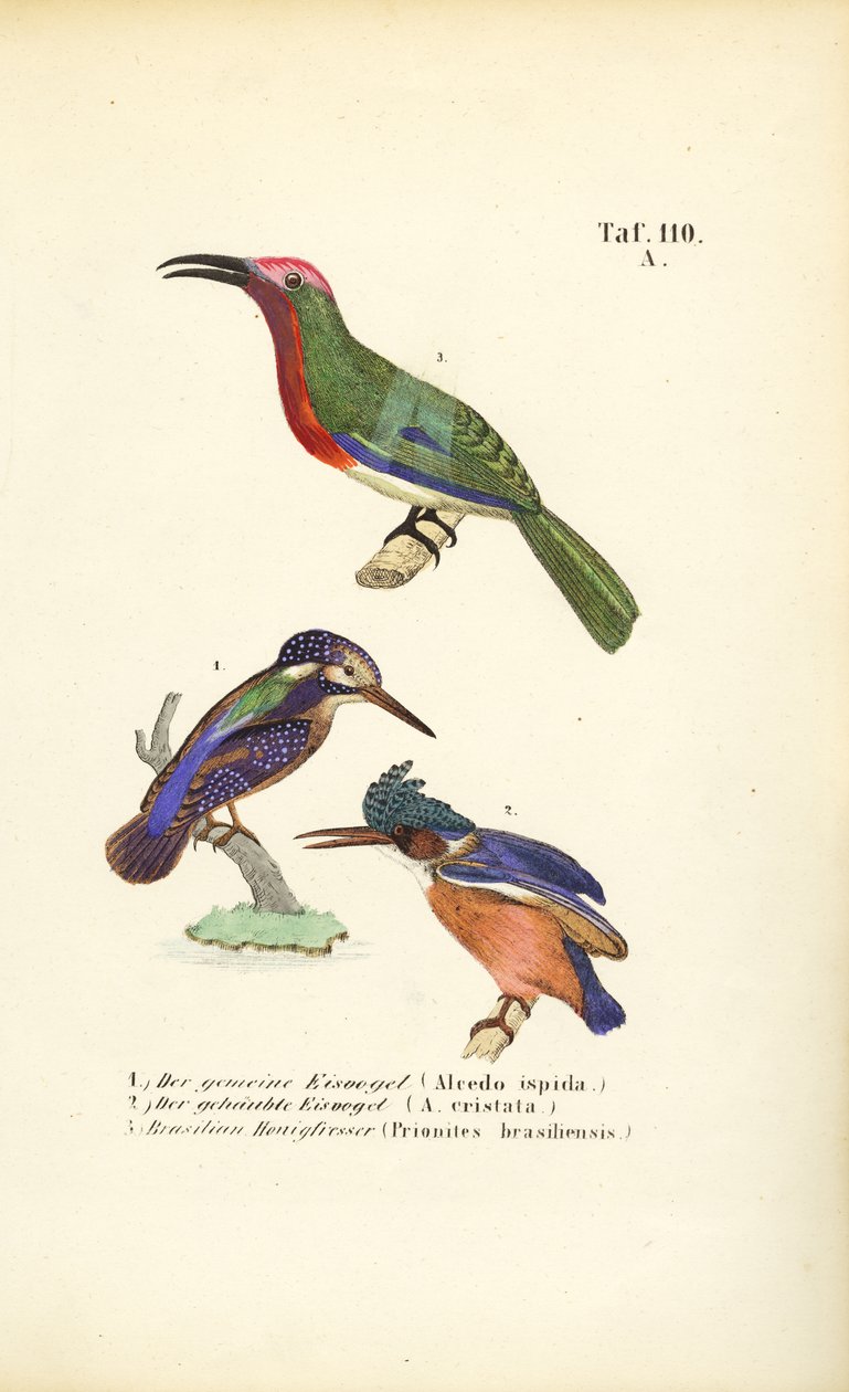  autorstwa J. W. Tenhaeff