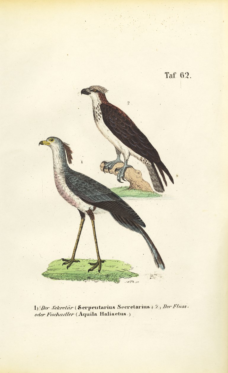  autorstwa J. W. Tenhaeff