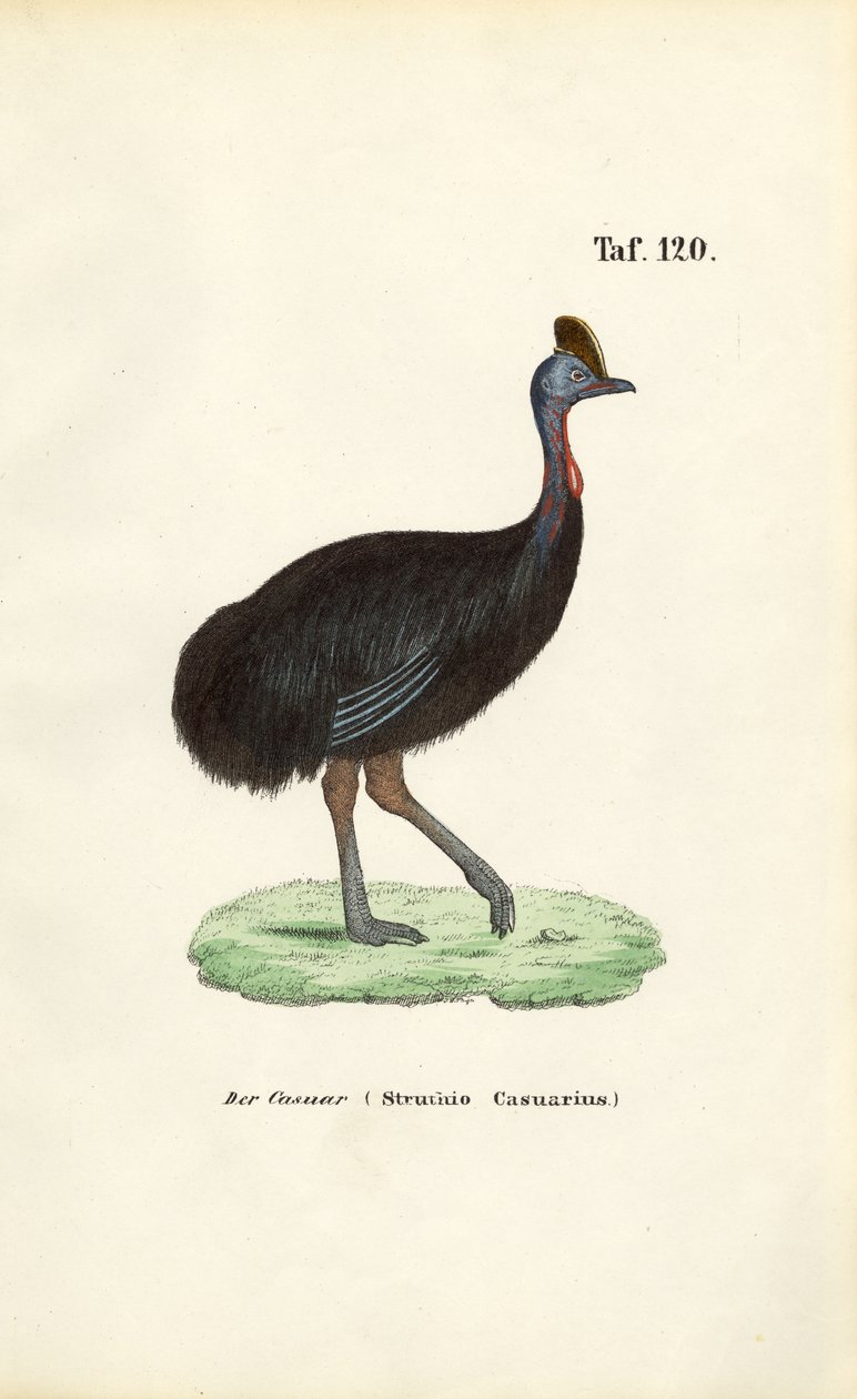  autorstwa J. W. Tenhaeff