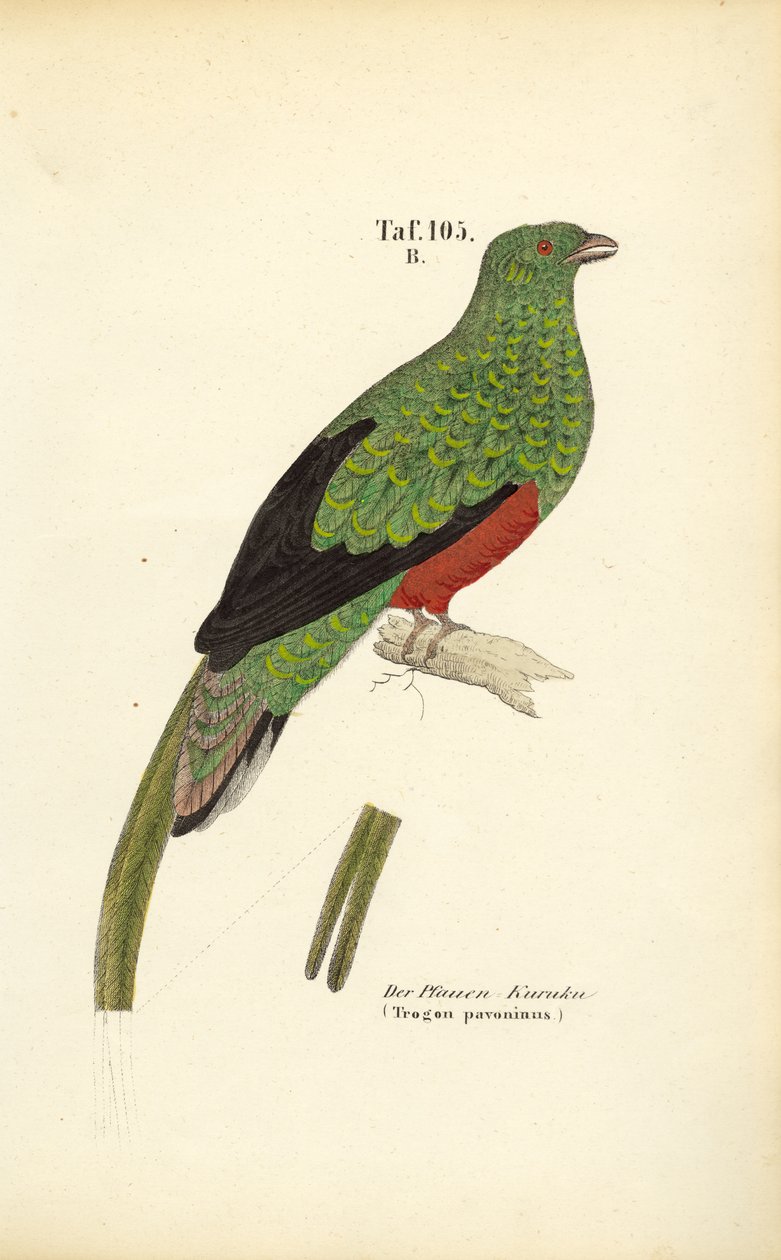  autorstwa J. W. Tenhaeff