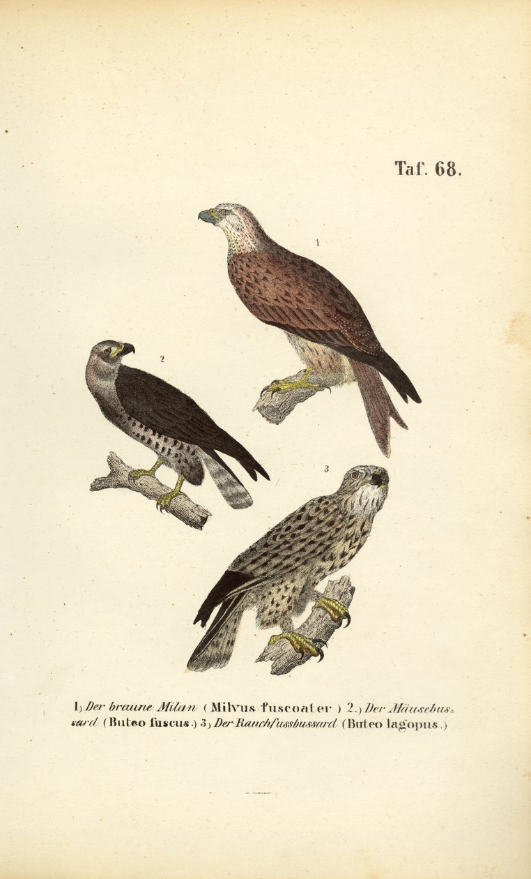  autorstwa J. W. Tenhaeff