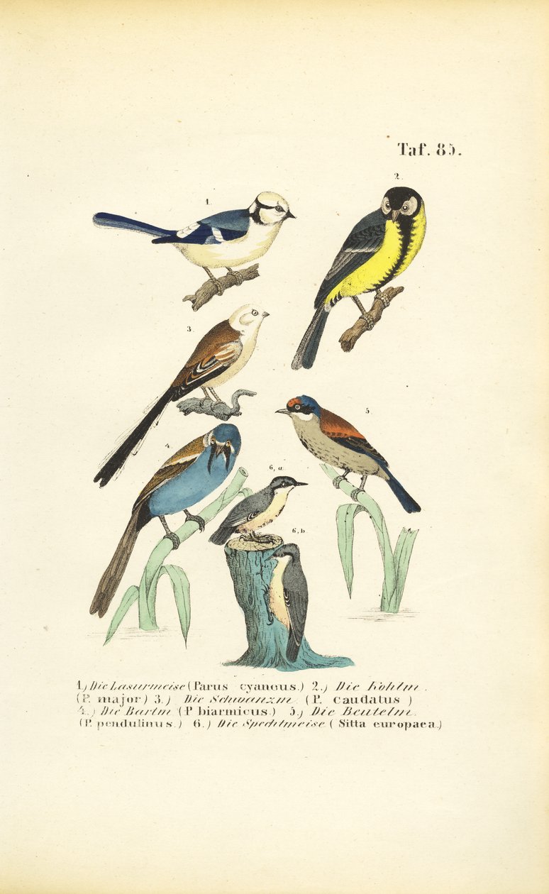  autorstwa J. W. Tenhaeff