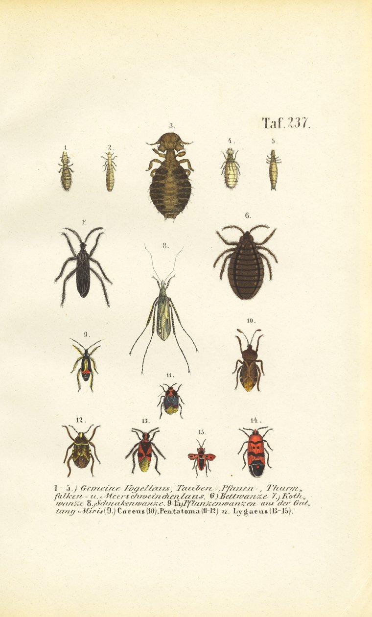 autorstwa J. W. Tenhaeff